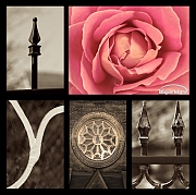 Wall_Art_Alphabet_Photography_Art_ 996
